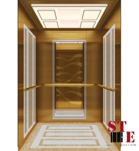 THANG MÁY TẢI KHÁCH - ST 04 ​​​​​​​ 