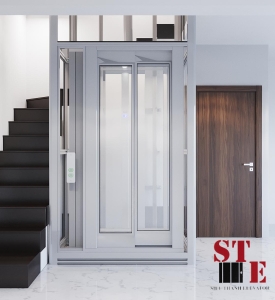 THANG MÁY HOMELIFT - ST 03 ​​​​​​​ 