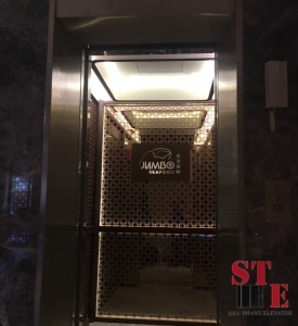 THANG MÁY TẢI KHÁCH - ST 02